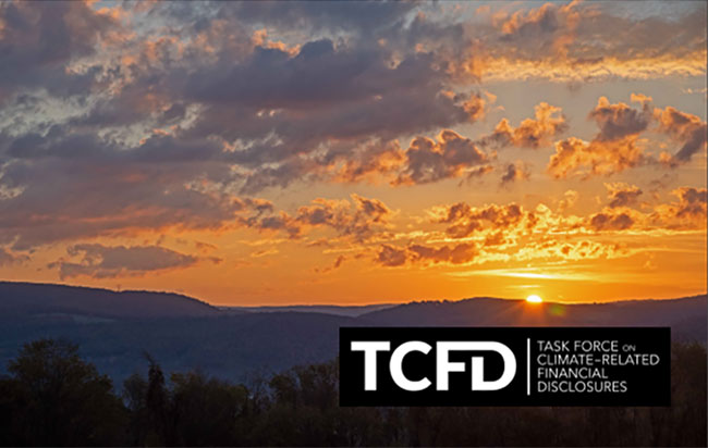 TCFD