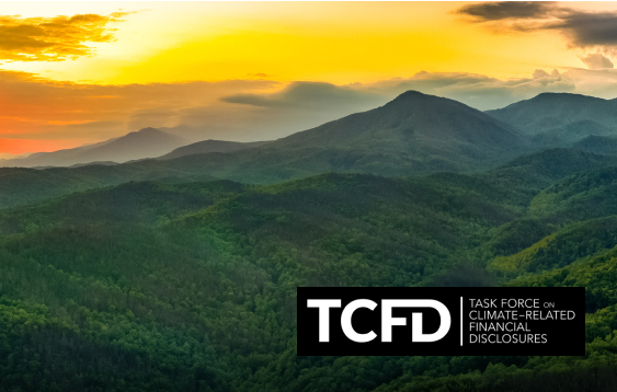 TCFD