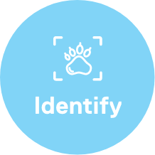 Identify
